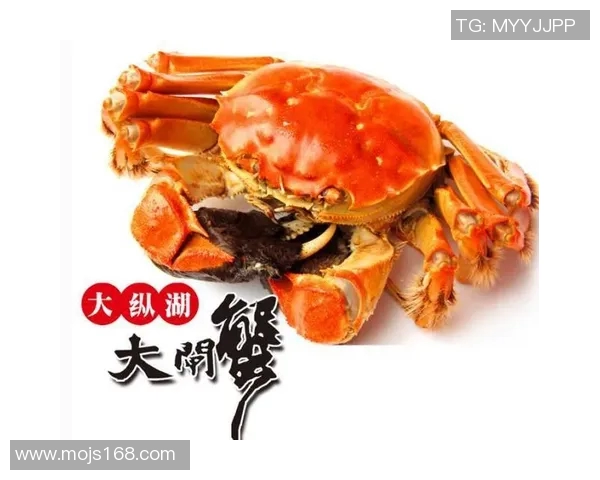 姚明品尝大闸蟹的美味之旅与背后的故事分享